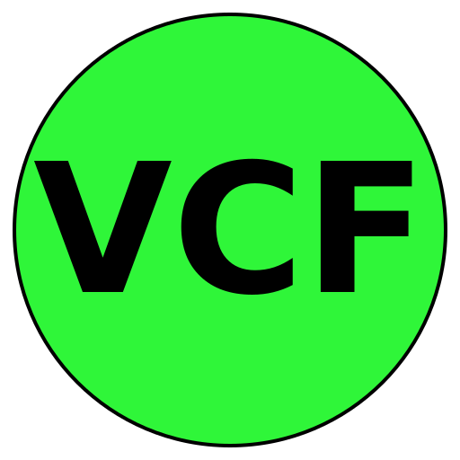 Virtuous Core Fitness