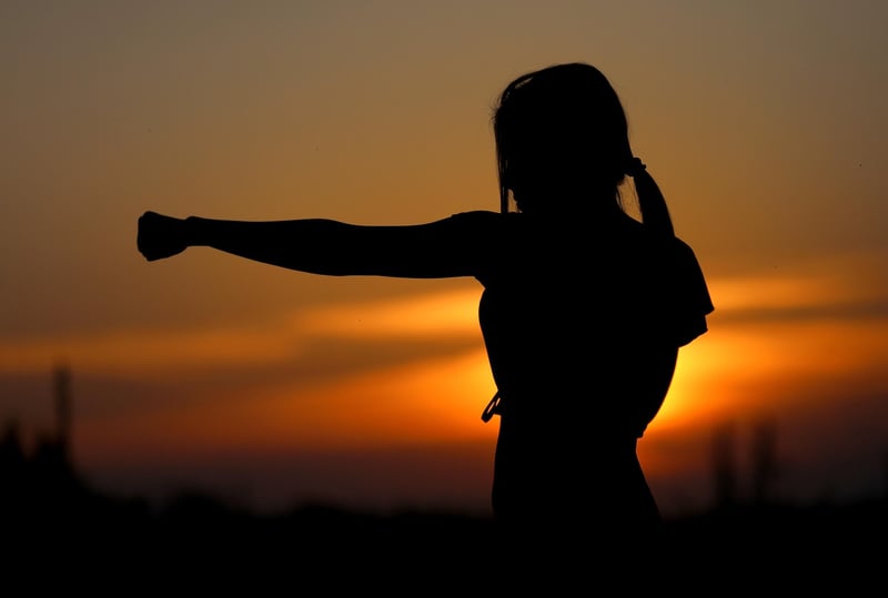 Martial Arts Silhouette
